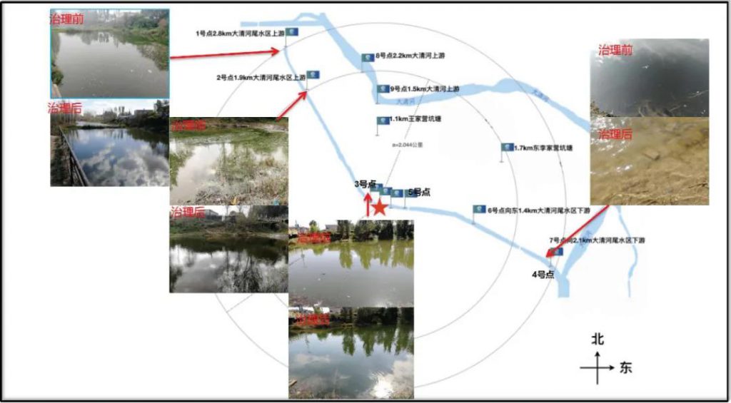 環保科技篇?治水先治泥？不，我們泥水共治！-