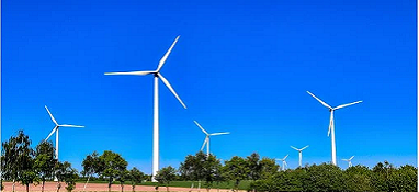 “兩高”項目盲目發展有哪些表現？看中央生態環保督察怎么說