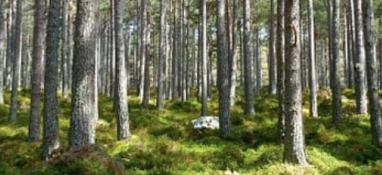 2022年環境專項執法已經開始！這些企業是檢查重點！