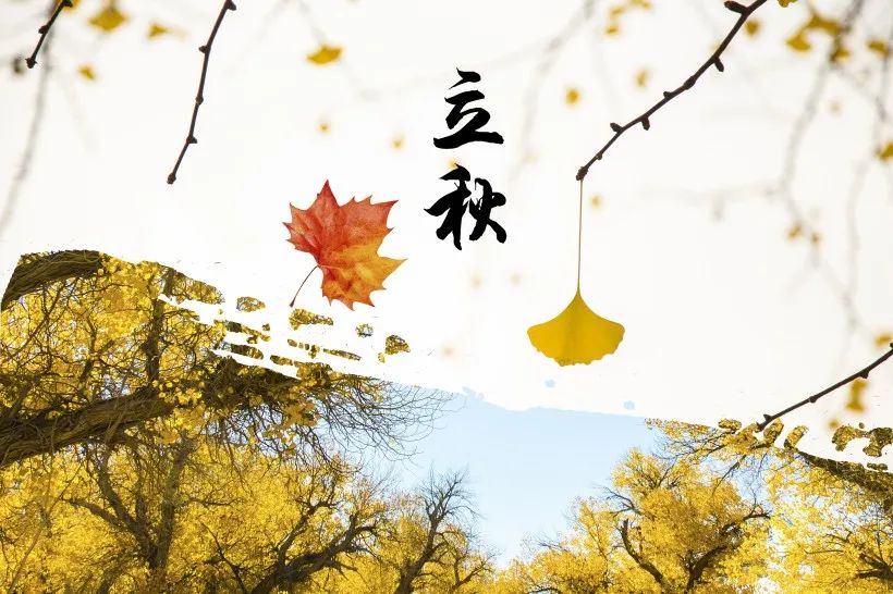 準Ⅳ類標準！江蘇最大的污水處理廠開工建設！-