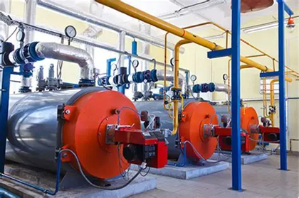 上海綠色制造展｜生物質天然氣制綠氨技術獲國際認證，實現全生命周期碳足跡追蹤